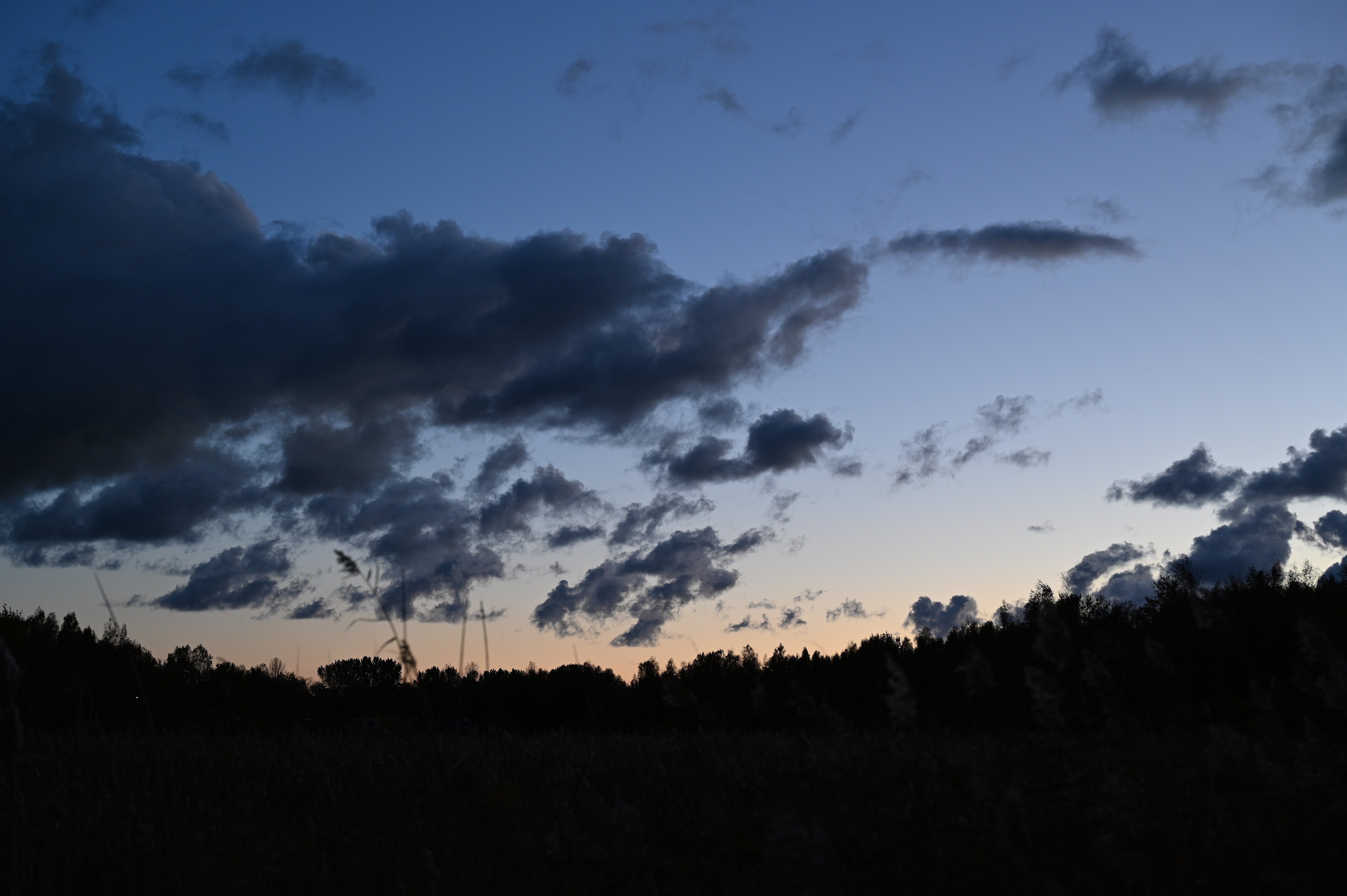 2025/10/18 - walk/DSC_0619.JPG